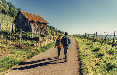 Wanderer am Württemberger Weinwanderweg | © Touristikgemeinschaft HeilbronnerLand e.V.