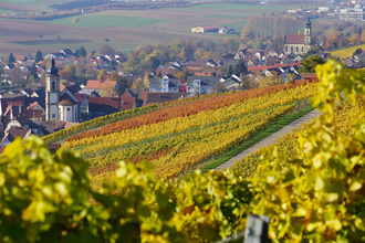 Blick auf den Weinsüden Weinort Erlenbach | HeilbronnerLand | © Tourismus im Weinsberger Tal