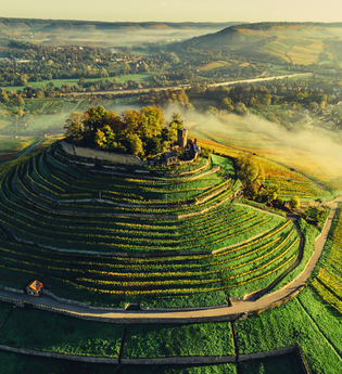 Drohnenaufnahme der Burgruine Weibertreu im Morgennebel. Aussicht über Weinsberger Tal mit dem Naturpark Schwäbisch-Fränkischer Wald im Hintergrund. | © Touristikgemeinschaft HeilbronnerLand