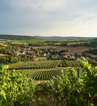 Eberstadt Panorama 4 | HeilbronnerLand | © Tourismus im Weinsberger Tal