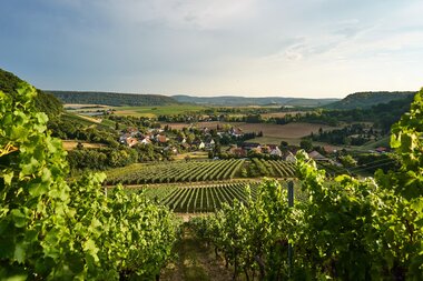 Eberstadt Panorama 4 | HeilbronnerLand | © Tourismus im Weinsberger Tal