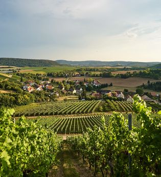Eberstadt Panorama 4 | HeilbronnerLand | © Tourismus im Weinsberger Tal