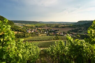Eberstadt Panorama 4 | HeilbronnerLand | © Tourismus im Weinsberger Tal