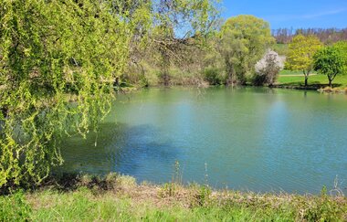 Hölzerner See bei Eberstadt im Frühling | © Touristikgemeinschaft HeilbronnerLand