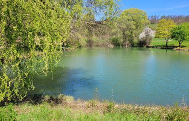 Hölzerner See bei Eberstadt im Frühling | © Touristikgemeinschaft HeilbronnerLand