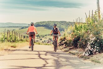 Württemberg im Glas | Weinausschank Radtour Süd
