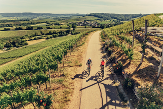 Weinsüden Weinort Brackenheim am Württemberger Weinradweg | HeilbronnerLand | © Touristikgemeinschaft HeilbronnerLand