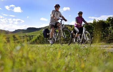 Radfahren am Württemberger Weinradweg | HeilbronnerLand | © Touristikgemeinschaft HeilbronnerLand e.V.