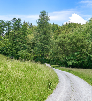 Wüstenrot | Rundwanderweg 1 | Naturpark Schwäbisch-Fränkischer Wald | © Tourismus im Weinsberger Tal