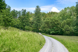 Wüstenrot | Rundwanderweg 1 | Naturpark Schwäbisch-Fränkischer Wald | © Tourismus im Weinsberger Tal
