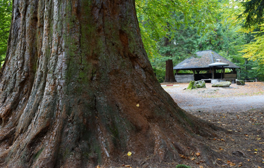 Wellingtonienplatz Wüstenrot - Grill- und Rastplatz | HeilbronnerLand | © Tourismus im Weinsberger Tal