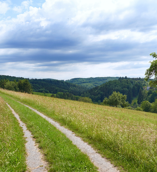 Wüstenrot Rundwanderweg 3 | Wald- und Feldwege | Weinsberger Tal | © Tourismus im Weinsberger Tal