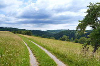 Wüstenrot Rundwanderweg 3 | Wald- und Feldwege | Weinsberger Tal | © Tourismus im Weinsberger Tal