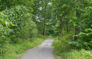 Wüstenrot Rundwanderweg 3 | Wald- und Feldwege | Weinsberger Tal | © Tourismus im Weinsberger Tal