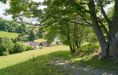 Wüstenrot Rundwanderweg 3 | Wald- und Feldwege | Weinsberger Tal | © Tourismus im Weinsberger Tal