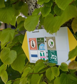 Wüstenrot Rundwanderweg 4 | Wald- und Feldwege | Weinsberger Tal | © Tourismus im Weinsberger Tal