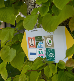 Wüstenrot Rundwanderweg 4 | Wald- und Feldwege | Weinsberger Tal | © Tourismus im Weinsberger Tal