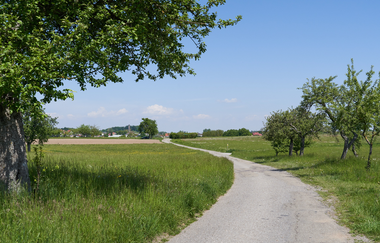 Wüstenrot Rundwanderweg 4 | Wald- und Feldwege | Weinsberger Tal | © Tourismus im Weinsberger Tal