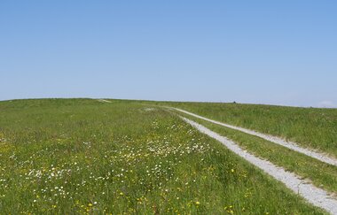 Wüstenrot Rundwanderweg 4 | Wald- und Feldwege | Weinsberger Tal | © Tourismus im Weinsberger Tal