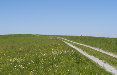 Wüstenrot Rundwanderweg 4 | Wald- und Feldwege | Weinsberger Tal | © Tourismus im Weinsberger Tal