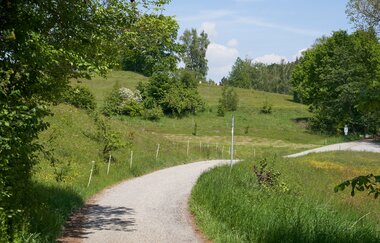 Wüstenrot Rundwanderweg 4 | Wald- und Feldwege | Weinsberger Tal | © Tourismus im Weinsberger Tal