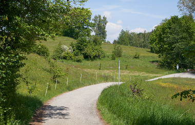 Wüstenrot Rundwanderweg 4 | Wald- und Feldwege | Weinsberger Tal | © Tourismus im Weinsberger Tal