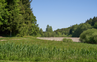 Wüstenrot Rundwanderweg 4 | Wald- und Feldwege | Weinsberger Tal | © Tourismus im Weinsberger Tal