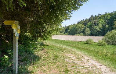 Wüstenrot Rundwanderweg 4 | Wald- und Feldwege | Weinsberger Tal | © Tourismus im Weinsberger Tal