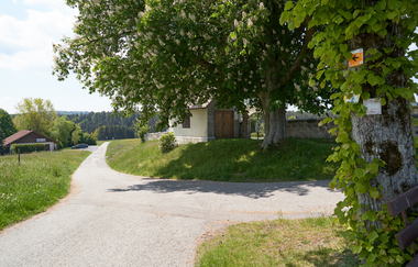 Wüstenrot Rundwanderweg 4 | Wald- und Feldwege | Weinsberger Tal | © Tourismus im Weinsberger Tal