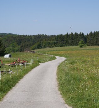 Wüstenrot Rundwanderweg 5 | Wald- und Feldwege | Weinsberger Tal | © Tourismus im Weinsberger Tal