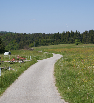 Wüstenrot Rundwanderweg 5 | Wald- und Feldwege | Weinsberger Tal | © Tourismus im Weinsberger Tal