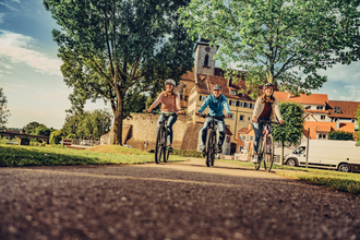 Radlergruppe im Lamparter Lauffen | © Touristikgemeinschaft HeilbronnerLand e.V.