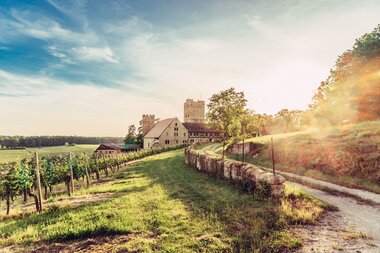 Blick auf Burg Neipperg im Zabergäu | HeilbronnerLand | © Touristikgemeinschaft HeilbronnerLand