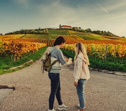 Unterwegs am Michaelsberg | Cleebronn | © Touristikgemeinschaft HeilbronnerLand e.V.