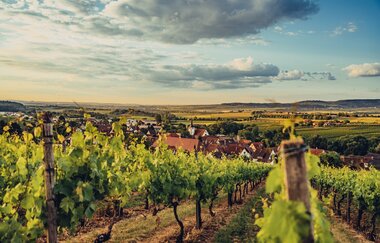 Abendstimmung im Zabergäu | © Touristikgemeinschaft HeilbronnerLand e.V.