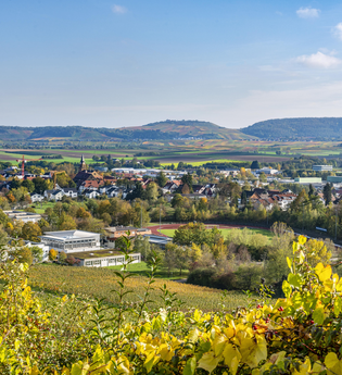 Rund im Eibensbach | Blick auf Güglingen | © Stadt Güglingen