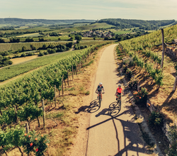 Radfahren am Zweifelberg | © Touristikgemeinschaft HeilbronnerLand e.v.