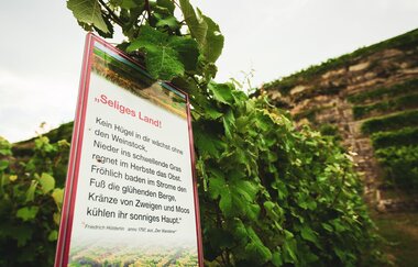 Gedichttafel an den Katzenbeißer Steillagen | © Touristikgemeinschaft HeilbronnerLand e.V.