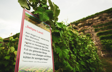 Gedichttafel an den Katzenbeißer Steillagen | © Touristikgemeinschaft HeilbronnerLand e.V.