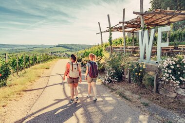 Weinausschank im Zweifelberg | Weinsüden Weinort Brackenheim | HeilbronnerLand | © Touristikgemeinschaft HeilbronnerLand