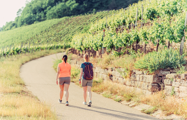 Zweifelberg Wandern | Brackenheim | HeilbronnerLand | © Touristikgemeinschaft HeilbronnerLand e.V.