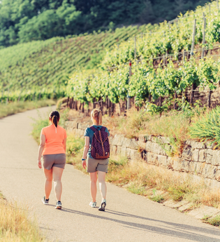 Zweifelberg Wandern | Brackenheim | HeilbronnerLand | © Touristikgemeinschaft HeilbronnerLand e.V.