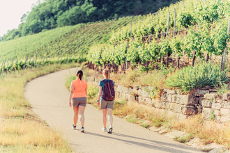 Zweifelberg Wandern | Brackenheim | HeilbronnerLand | © Touristikgemeinschaft HeilbronnerLand e.V.