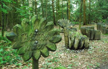 Zauberwald | © Gemeinde Fichtenau