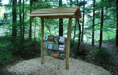 Zauberwald | © Gemeinde Fichtenau