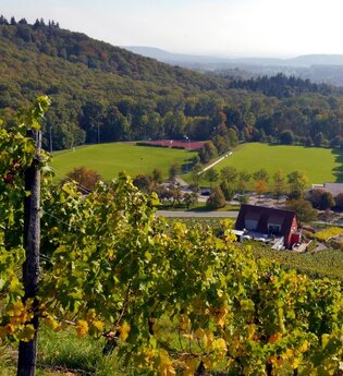 Zum Aussichtspunkt Sandberg | © Land der 1000 Hügel - Kraichgau-Stromberg