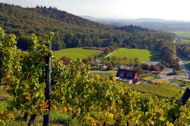© Land der 1000 Hügel - Kraichgau-Stromberg