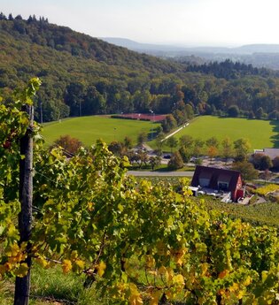 Zum Aussichtspunkt Sandberg | © Land der 1000 Hügel - Kraichgau-Stromberg