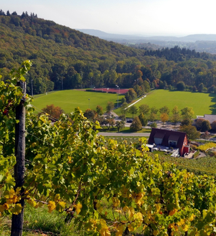 Zum Aussichtspunkt Sandberg | © Land der 1000 Hügel - Kraichgau-Stromberg