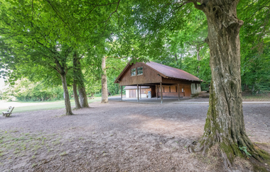 Zur "Allee der Bäume des Jahres" und durchs "Mannbachtal" | © Stadt Sinsheim